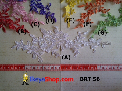 BRT 56  large2